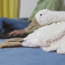 Senger Tierpuppen